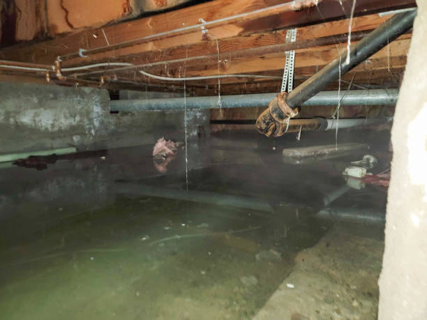 Water damage restoration insurance claims in Wade Hampton, SC