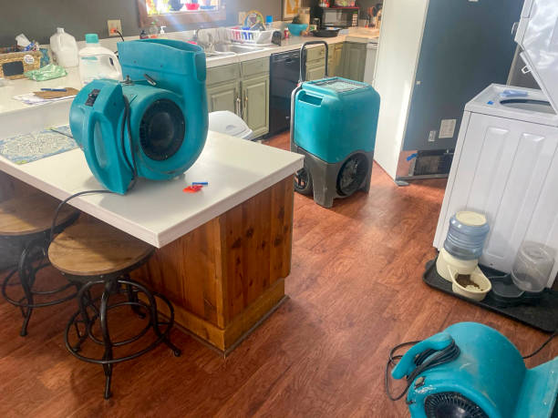 Best Water damage repair service  in Wade Hampton, SC