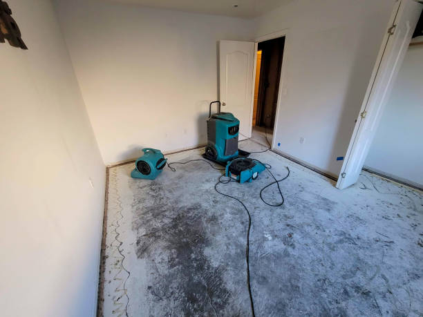 Best Basement water damage restoration  in Wade Hampton, SC