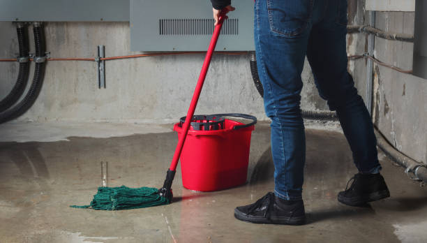 Best Water damage restoration near me  in Wade Hampton, SC