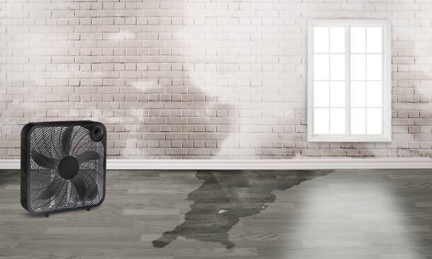 Best 24/7 water damage repair  in Wade Hampton, SC