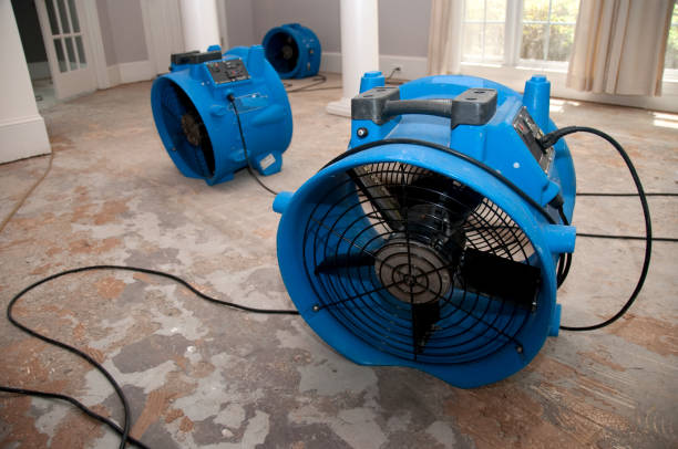 Best Professional water damage repair  in Wade Hampton, SC
