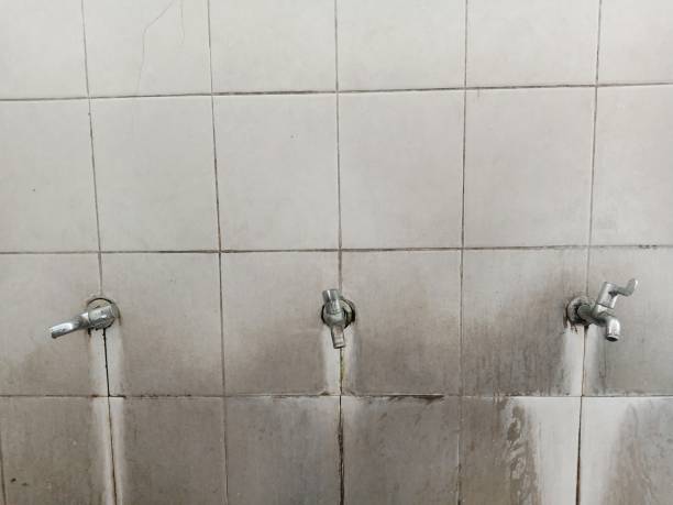 Best 24-hour water damage restoration  in Wade Hampton, SC