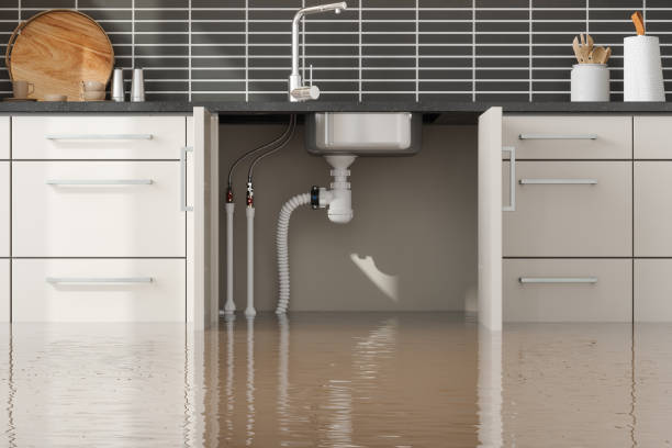 Best Water damage restoration near me  in Wade Hampton, SC