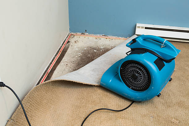 Trusted Wade Hampton, SC Water damage restoration Experts